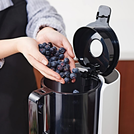 Máy Ép Chậm Hurom H200